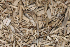 biomass boilers Desertmartin